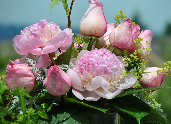 Beautifully decorated with pink peony