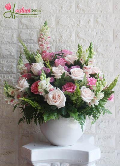 Congratulation flowers - New color