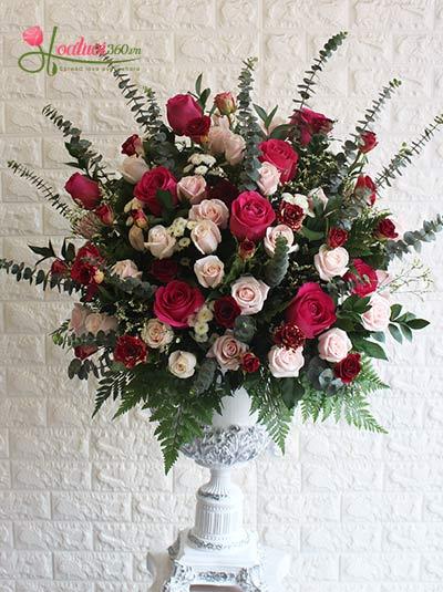 Congratulation flowers - Luxury 1