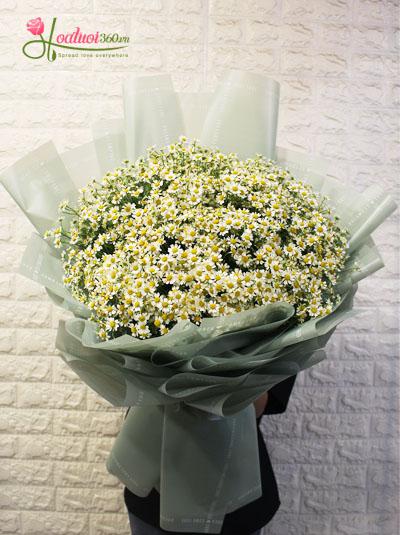 Tana daisies bouquet - Gentle