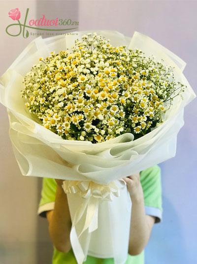 Bouquet of Tana daisies mix baby flower - Brilliant
