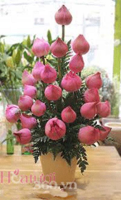 Địa chỉ dạy học cắm hoa giá rẻ 