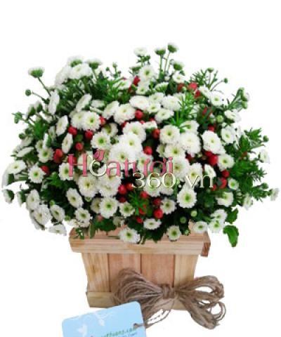 Địa chỉ học cắm hoa tại Quận 4