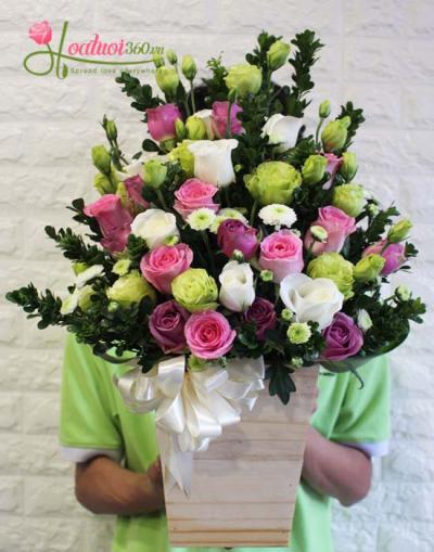 Congratulation flowers - Gentle girl