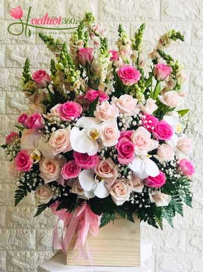 Congratulation flowers - Pink day