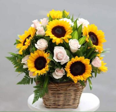 Sunflower 24 - 360 Fresh Flowers