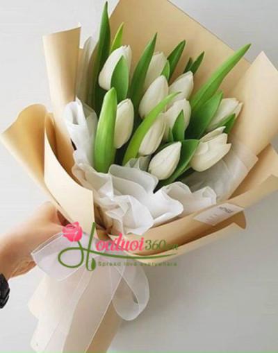 HOA TULIP TRẮNG NÉT ĐẸP TRONG TRẺO GÂY ĐẮM SAY