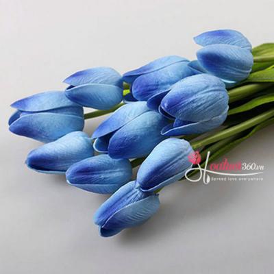 HOA TULIP XANH -VẺ ĐẸP YÊU KIỀU KHÓ THỂ SÁNH BẰNG