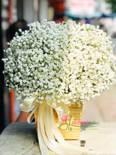 Baby's breath bouquet  - Heart Throb