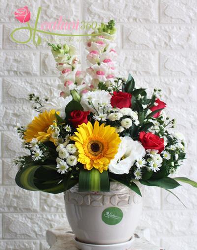 Birthday flowers - New designs