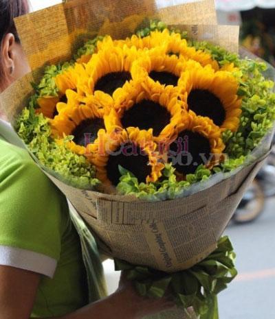 MUA HOA HƯỚNG DƯƠNG Ở ĐÂU?