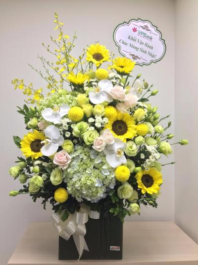 Congratulation flowers - Shine 1