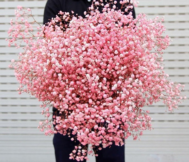  Delicate baby pink flowers