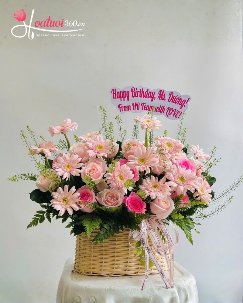 gerbera is the best flowers for the office environment