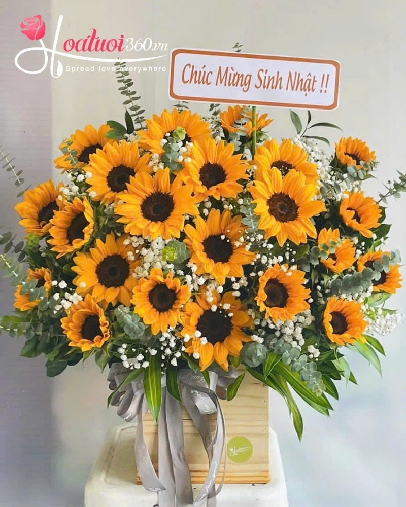 sunflowers is the best flowers for the office environment