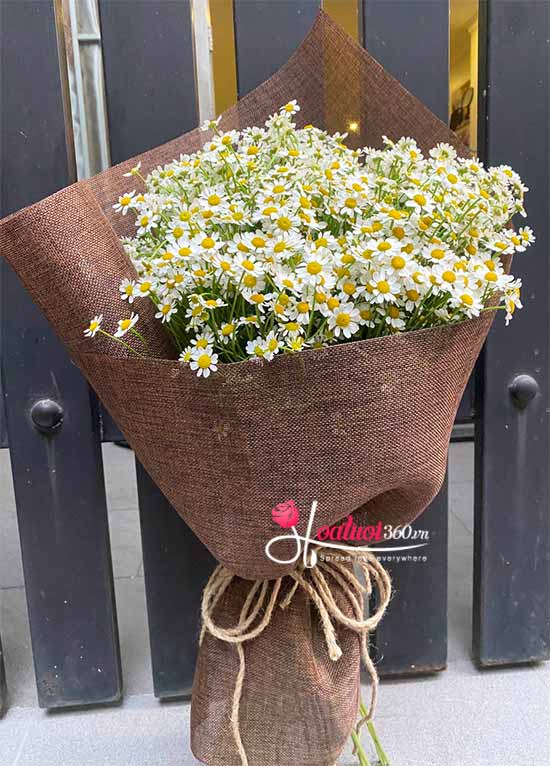 Tana daisies bouquet - Nice