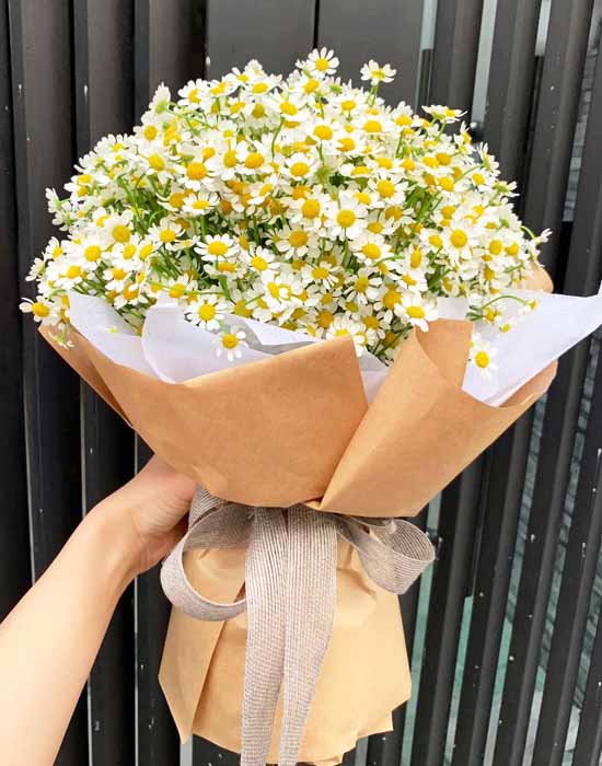 Tana daisies bouquet - Good day