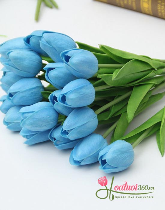 Vài nét cơ bản về hoa tulip xanh