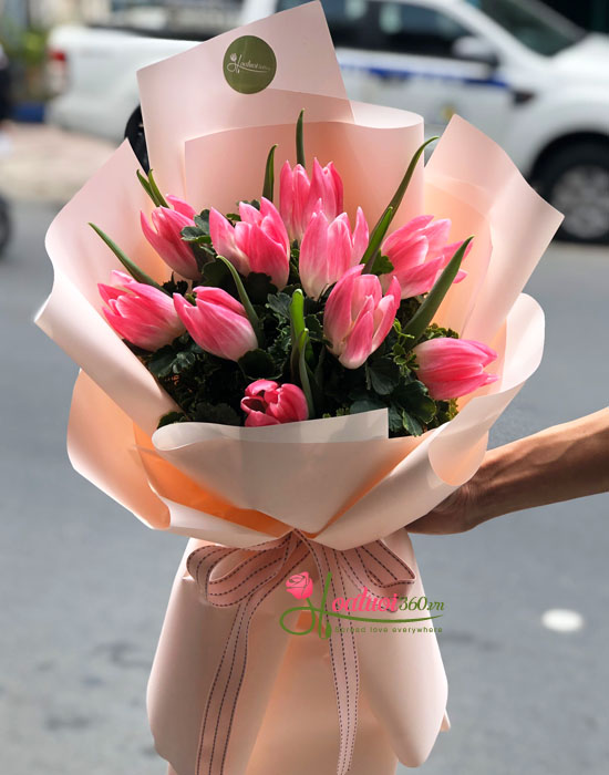 Đôi nét cơ bản về hoa tulip hồng