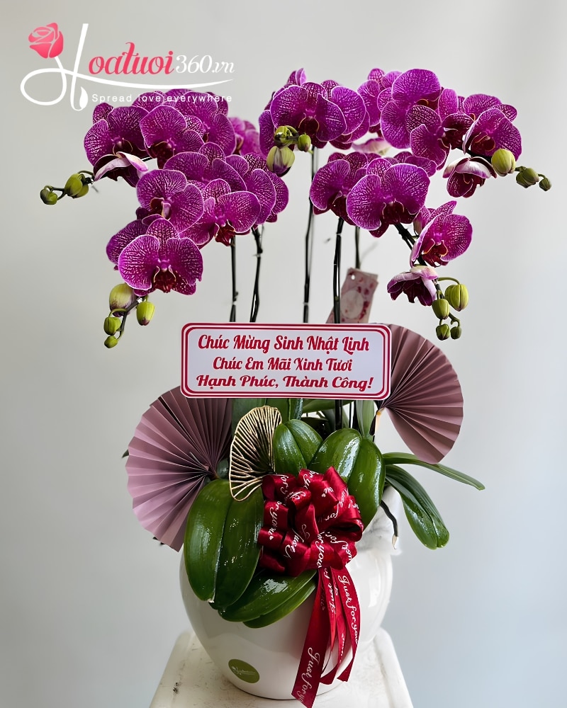orchid birthday flowers for wife in Vietnam