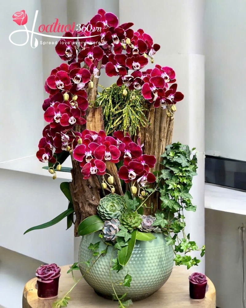 flowers for friend is orchids