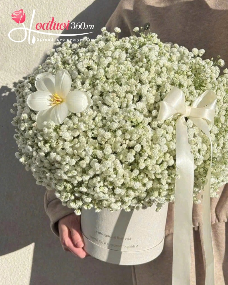baby's breath get-well-soon flowers in Vietnam