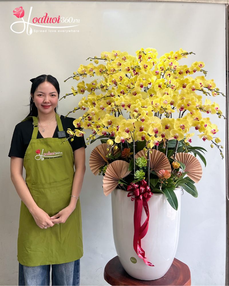 Orchids for Tet
