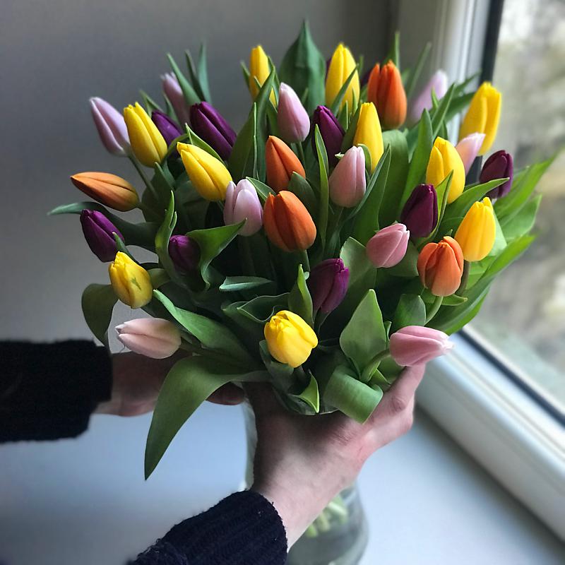 cách bảo quản hoa tulip