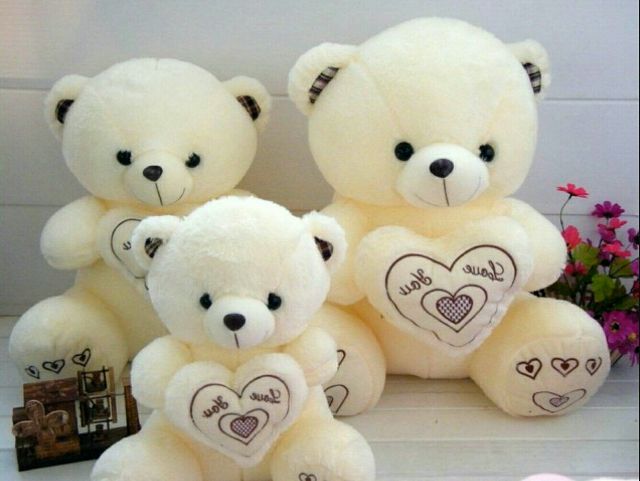 Bảo quản gấu bông cao cấp Bảo quản gấu bông cao cấp