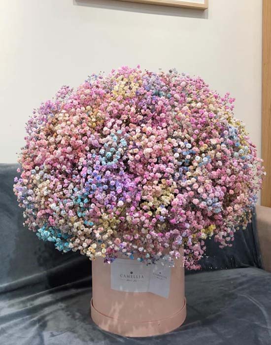 Baby's breath box - Rainbow