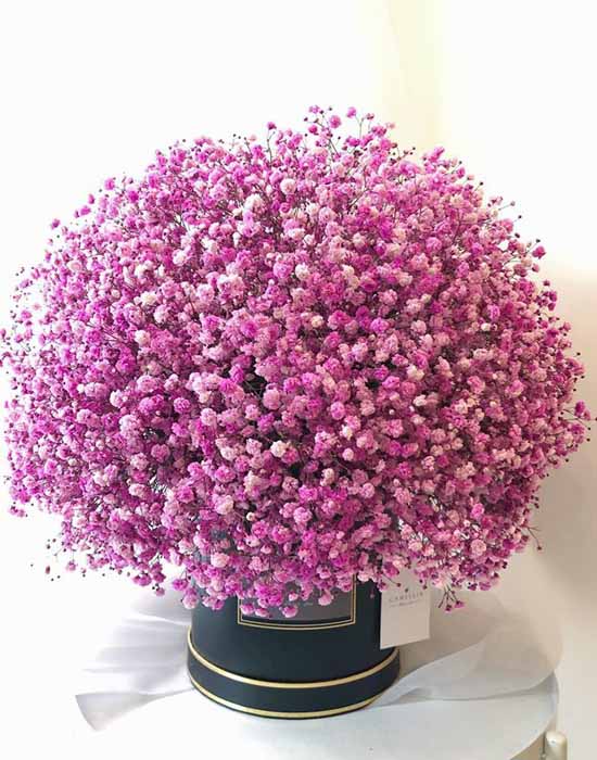 Baby's breath bouquet - Happy day