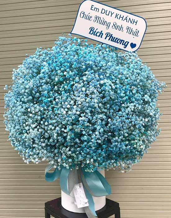 Baby's breath box - Blue love