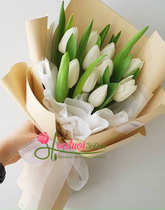 Tulip flowers bouquet - Graceful