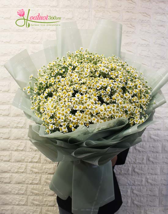 Tana daisies bouquet - Gentle