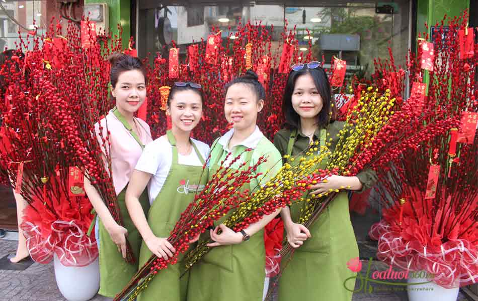 nụ tầm xuân giá rẻ