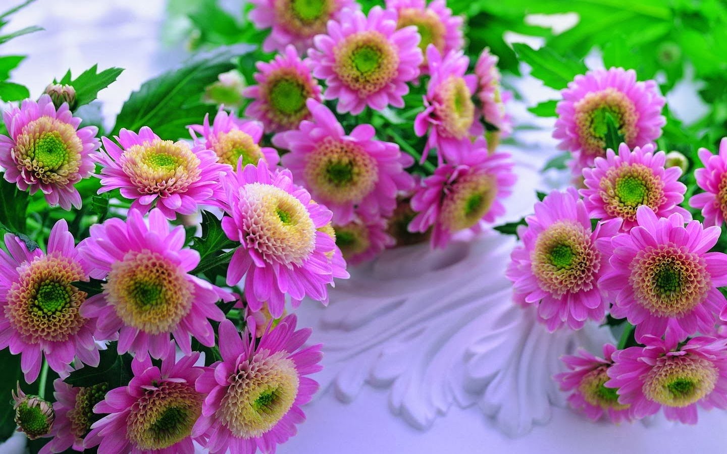 Address to sell cheap white chrysanthemum flowers in Vietnam