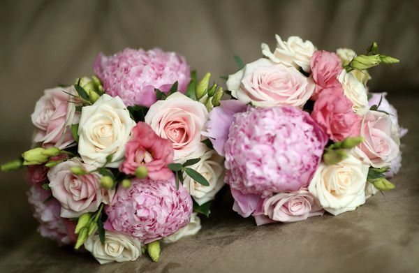 Beautiful and elegant peony flowers