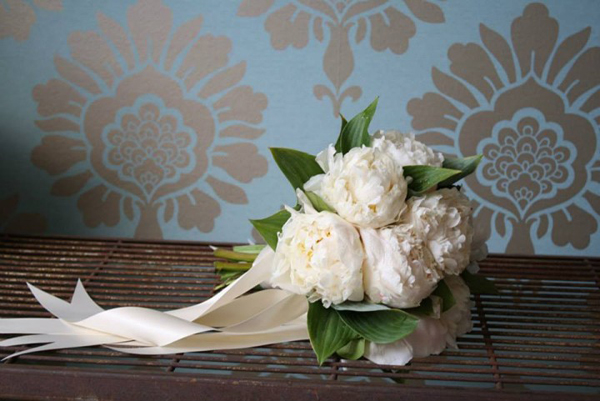 Pure white peony flower